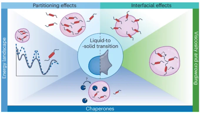 The graphical abstract from the article highlighting the various effects that can affect liquid to solid transitions.