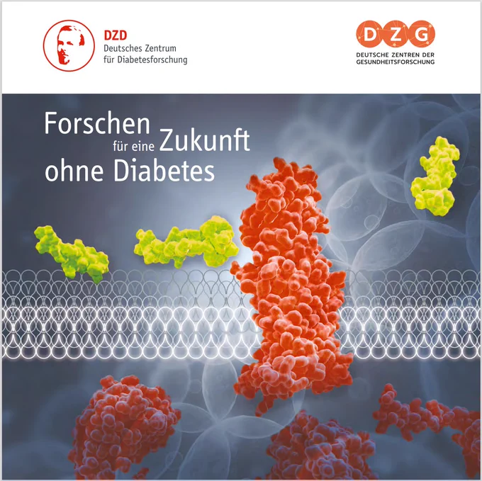 Das Cover der Broschüre "Forschen für eine Zukunft ohne Diabetes"  zeigt farbige Moleküle. 