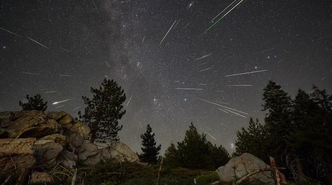 Des étoiles filantes dans un ciel nocturne. On voit des arbres au bas.