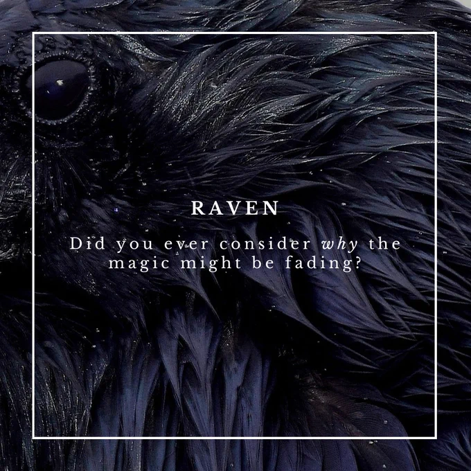 White text imposed on an high quality image of a crow, reading: "RAVEN: Did you ever consider why the magic might be fading?" inside a white outline of a  box.