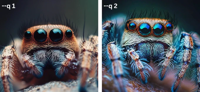 macro view of a cute spider --v 6.1 --q 2