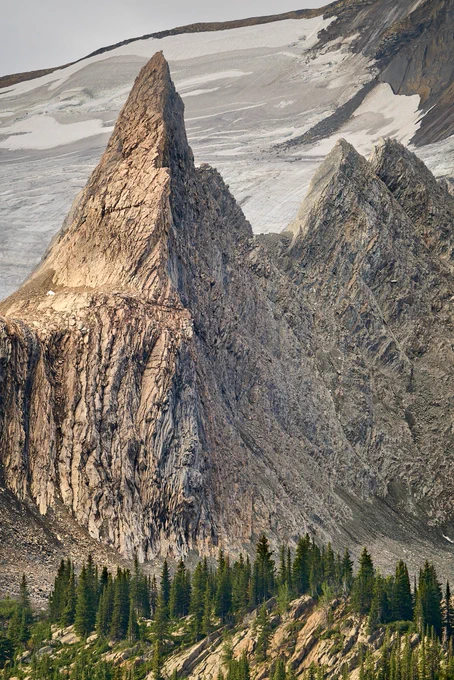 A spire visible from the front patio at the lodge. A row of spruces fills the bottom of the image, while the spire itself rises up from the centre left, reaching up to the top of the image. The background shows a glacier reaching even higher into the range.