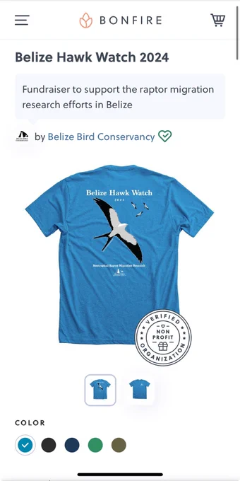 Screenshot of Belize Hawk Watch tshirt fundraiser campaign. Image shows a turquoise blue t-shirt with graphic that includes a swallow-tailed kite and reads “Belize Hawk Watch - 2024 - Neotropical raptor migration research”