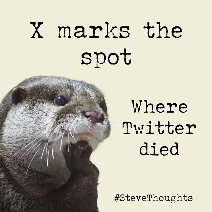 A pensive-looking otter with graphical text saying: X marks the spot where Twitter died #SteveThoughts.