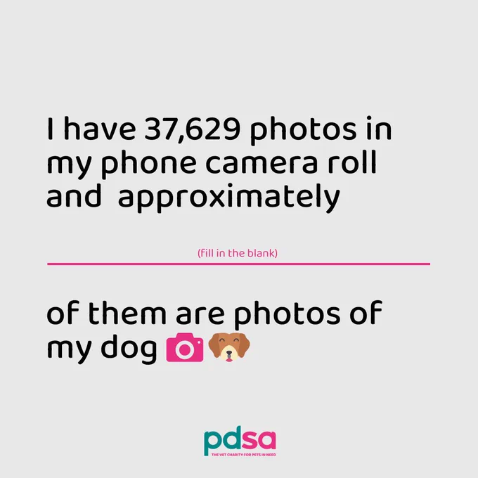 A grey background with text that reads; I have 37,629 photos in my phone camera roll and approximately (blank) of them are photos of my dog.