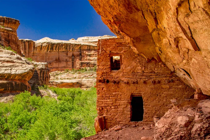 A well-preserved cliff dwelling overlooks a lush green canyon.