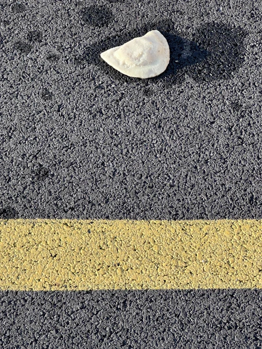 A lonely pierog on the pavement.