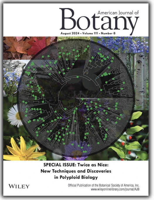 The cover of the American Journal of Botany special issue on polyploidy.