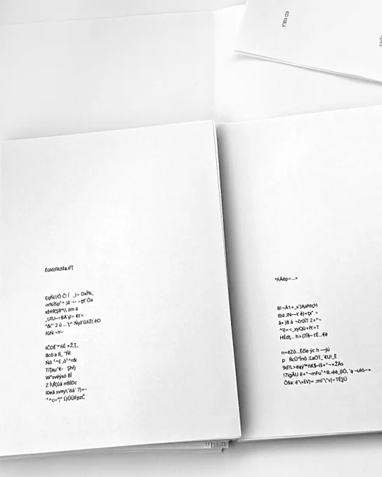A printed draft of a white book with black letters on a white table.: Igor Štromajer 3¦×Fń–Qé3=Miá  -oµ4×