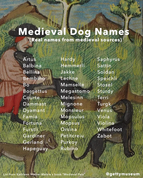 Medieval Dog Names (Real Names from medieval sources). Artus, Balbina, Bellina, Bembino, Bo, Borgettus, Curte, Dammast, Dyamant, Famia, Fortuna, Furstli, Gardiner, Gerland, Hapeguay, Hardy Hemmerli, Jakke, Lachne, Mamselle, Megastomo, Melesinn, Mignone, Monsieur, Mopsulus, Mopsus, Orsina, Petitcreiu, Purkoy, Rubino, Saphyrus, Sattin, Soldan, Speichli, Stosel, Sturdy, Terri, Turgk, Venus, Viola, Violina, Whitefoot, Zabot. List from Kathleen Walker-Meikle's book "Medieval Pets" @gettymuseum