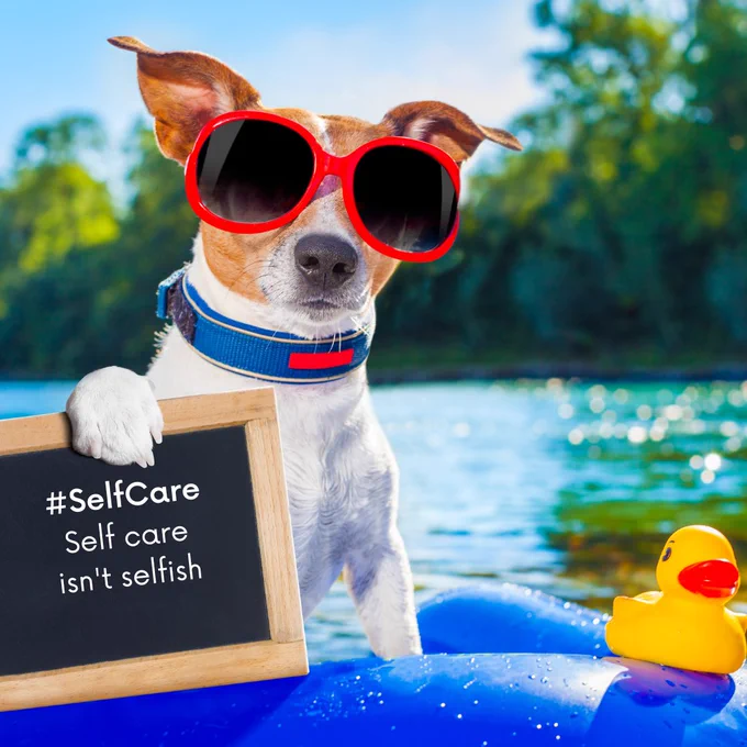 Jack Russel terrier dog with sunglasses on floaty in pool holding sign "#SelfCare Self -care isn't selfish"