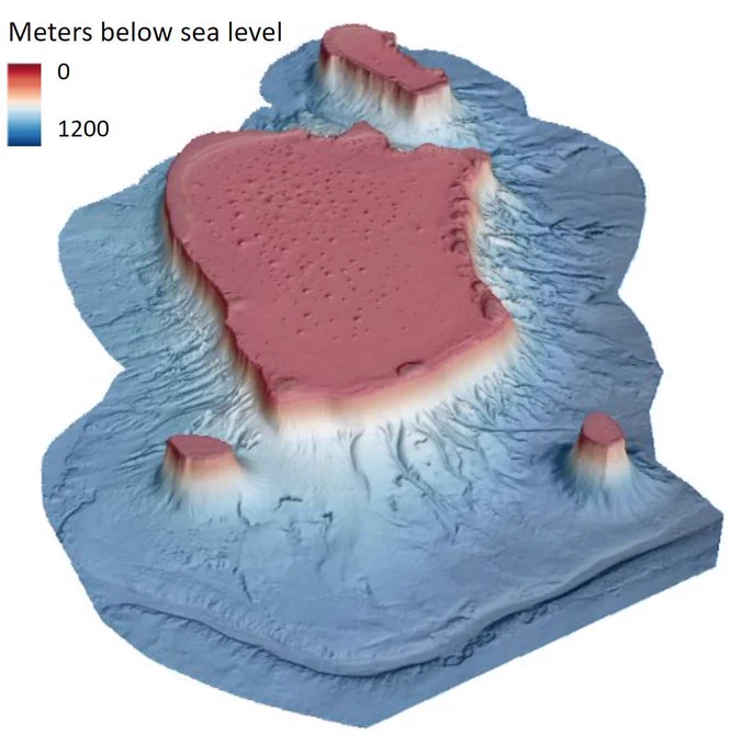 📷 Flinders Reefs (Coral Sea) have grown on flat-topped seamounts that rise over 1000 m from the surrounding seabed. 