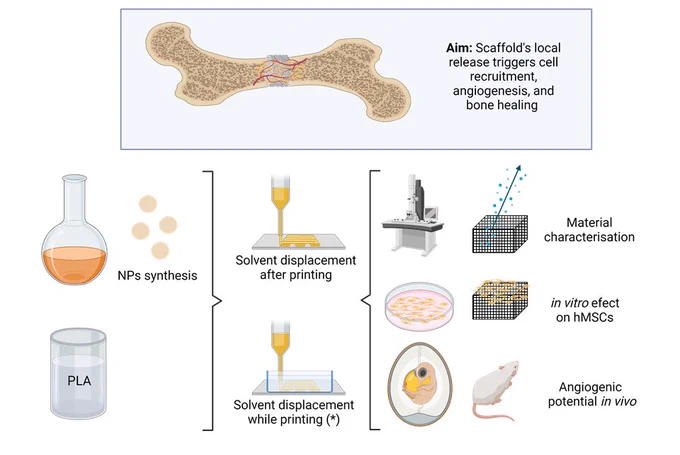 Development of 3D-printed PLA/CaP scaffolds aimed at enhancing bone regeneration by promoting angiogenesis. At the top, a bone cross-section with blood vessels highlights the aim: "Scaffold's local release triggers cell recruitment, angiogenesis, and bone healing."

The process starts with two materials: Nanoparticles (NPs) synthesis (depicted by a beaker and particles) and PLA (Polylactic Acid) (shown as a cylindrical container). These materials are combined in two steps: Solvent displacement after printing and Solvent displacement during printing (marked with an asterisk), both illustrated by extrusion nozzles.

Outcomes include Material characterization (grid structure), In vitro effects on hMSCs (cells on scaffold), and Angiogenic potential in vivo (implant in a mouse model), showcasing the scaffold’s ability to support blood vessel formation and bone healing.