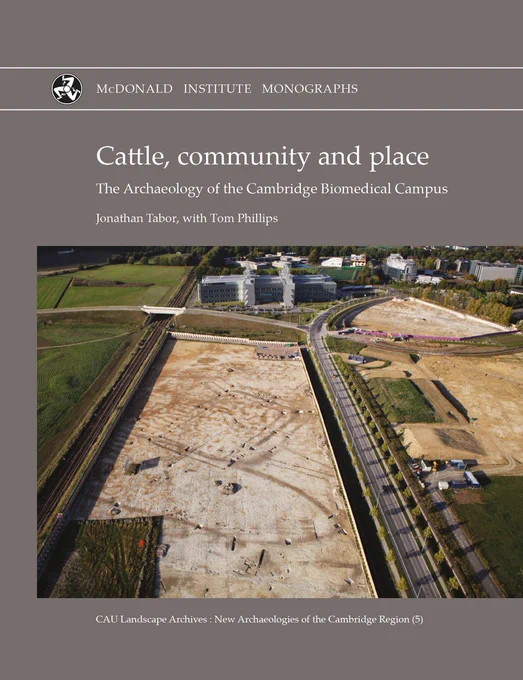 The grey front cover of a book with a large cover image of an aerial photo of an archaeological excavation, with the lines of ditches showing clearly.