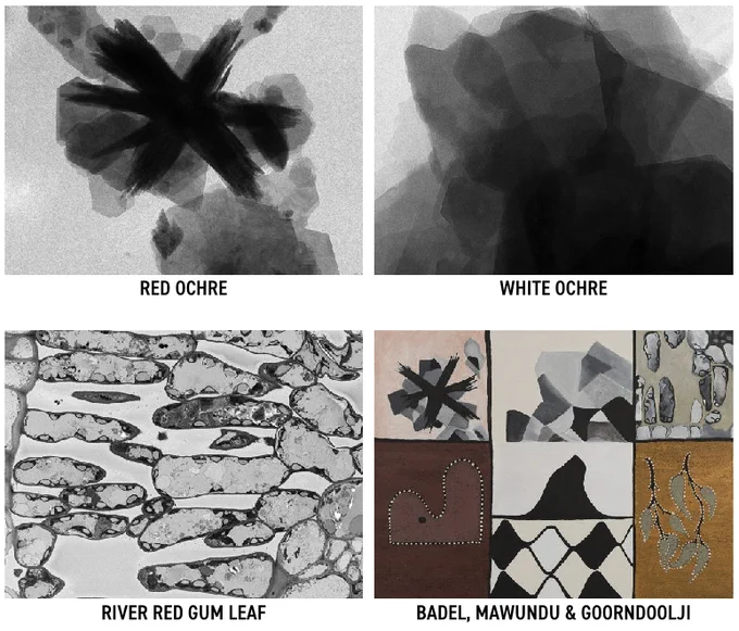 Transmission electron microscope images of red and white ochre (by Hongwei Liu) and a gum leaf (by Minh Huynh, Elinor Goodman and Margaret Barbour) alongside Gija stories painted in ochre by April Nulgit from Warmun Art Centre. 