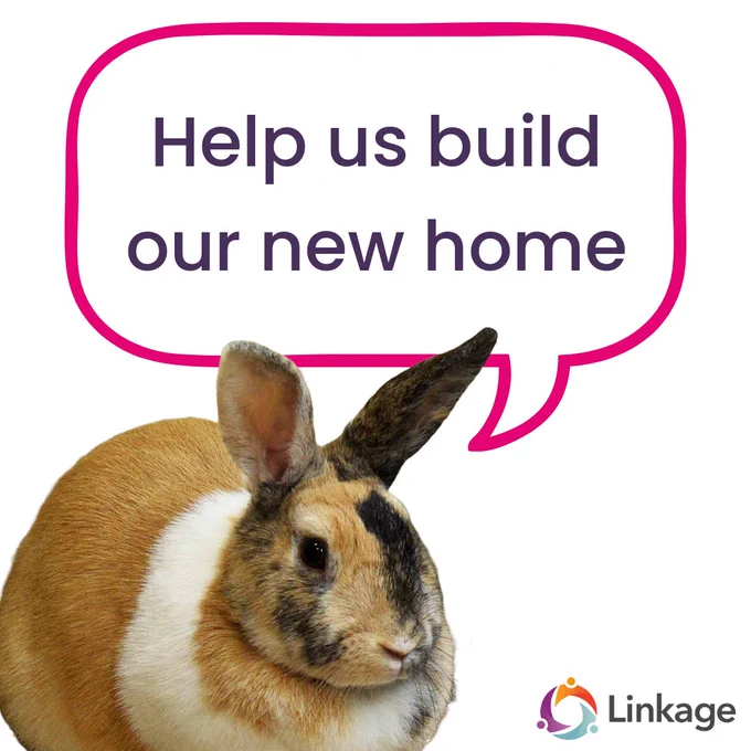 Elsa the brown and white speckled, short hair rabbit says, help us build out new home.