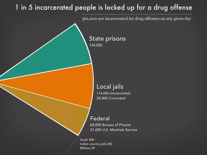 Slice of a pie chart showing that 1 in 5 incarcerated people is locked up for a drug offense
