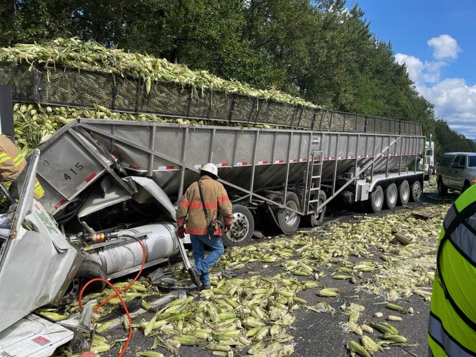 Spilled corn on the freeway following a semi truck crash. A firefighter examines the damage.