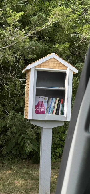 First Course in a little free library