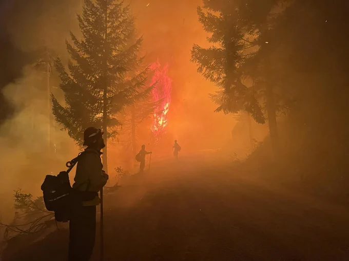 Firefighters watch for spot fires across the line during firing operations. Photo by Willamette National Forest.