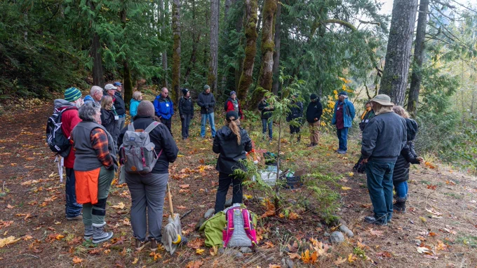 A group of adults stands in a circle within a forest