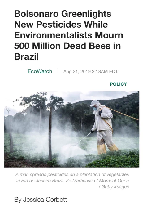 Bolsonaro Greenlights New Pesticides While Environmentalists Mourn 500 Million Dead Bees in Brazil