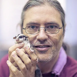 Photo of Sean, looking directly into the camera and holding a tiny sugar glider up to his face. 