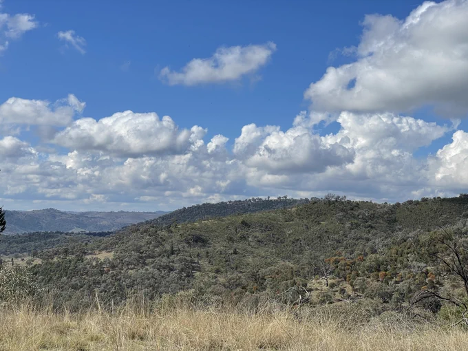Photo of a view over a ridgeline covered in trees, with a blue cloudy sky.