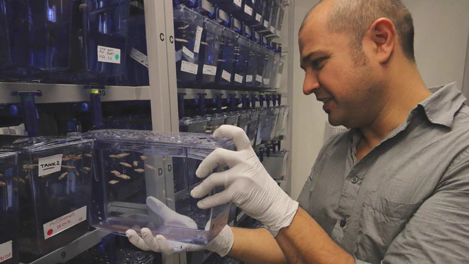Image of Prof. Dr. Emre Yaksi holding a zebrafish tank.