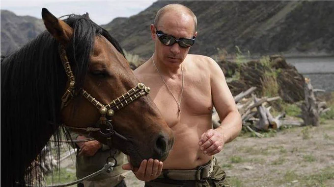 Putin füttert mit nacktem Oberkörper ein Pferd.
