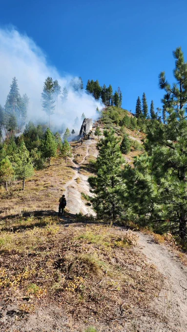 Strategic Firing Operations on Bulldog Fire in Middle Fork Complex. Photo by Boise National Forest.