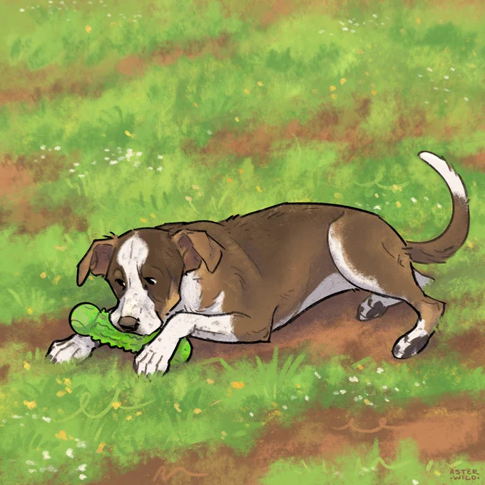 Digital drawing of a large brown and white dog laying in the grass, chewing a bright green chew toy.