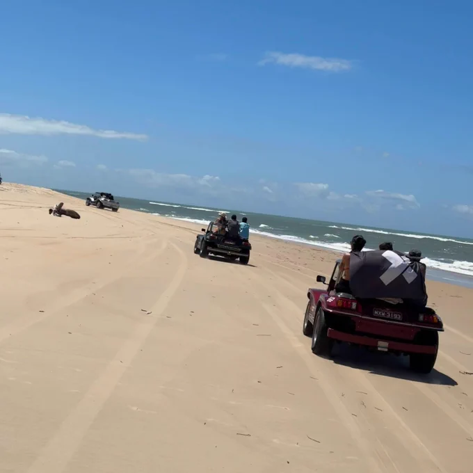 Three beach buggies on a beach near the ocean