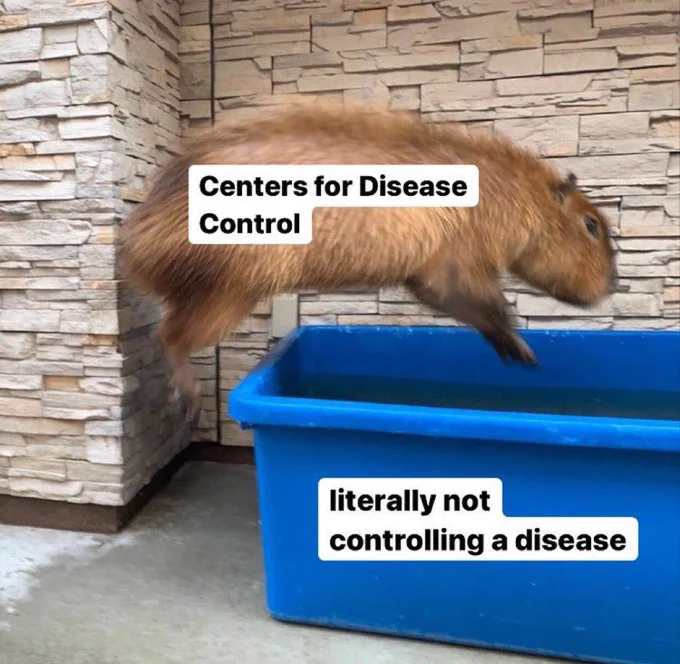 a capybara labeled “Centers for Disease Control (CDC)” captured mid-air as its jumping into a blue bin labeled “literally not controlling a disease”