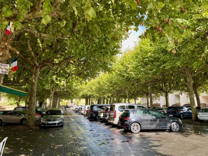 A french car park which has a lot of trees planted in it to create shading.