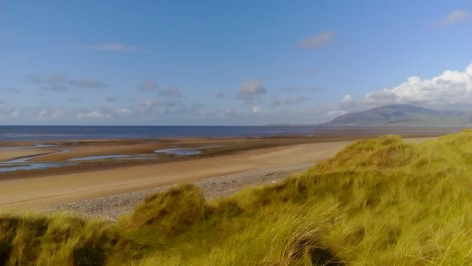 Photo shows the beautiful beach and sand dunes of North Walney National Nature Reserve with the sea at low tide exposing the golden sands.