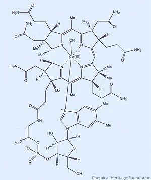 Detailed diagram of a Vitamin B12 structure. The image is marked with the logo of the Chemical Heritage Foundation at the bottom.