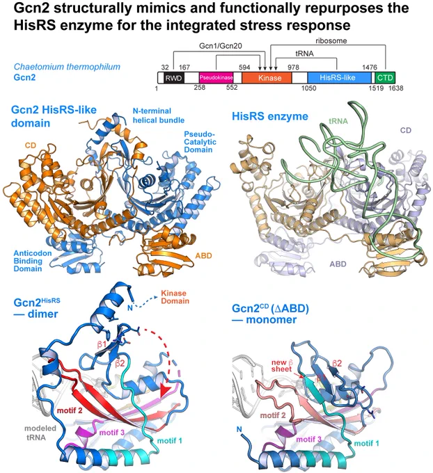 https://www.pnas.org/doi/10.1073/pnas.2409628121