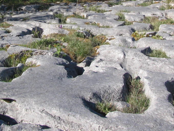 A colour image of limestone pavement at Scar Close, Ingleborough copyright Ed Mountford