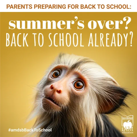 A monkey with a sad look on its face beneath text that reads, "Summer's Over? Back to school already?". Above is the heading: "Parents preparing for back to school:". With hashtags #AMDSBBackToSchool and AMDSB logo.
