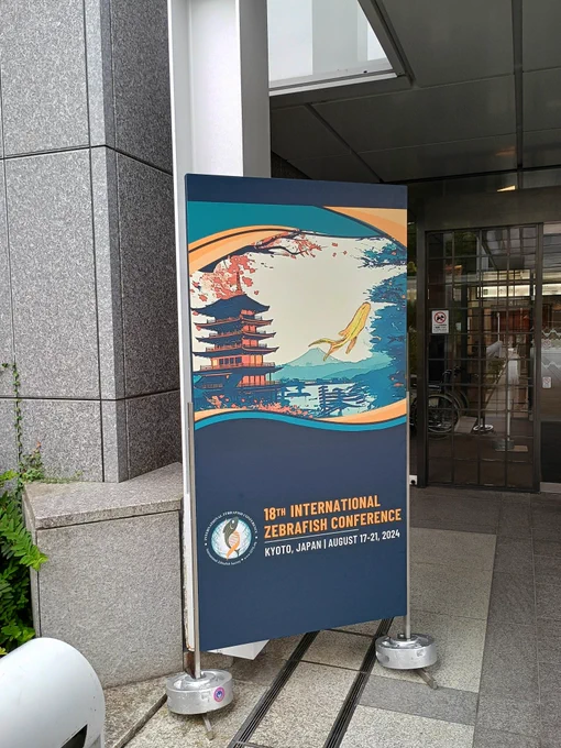 18th International Zebrafish Conference Poster at Miyako Messe, Kyoto, Japan