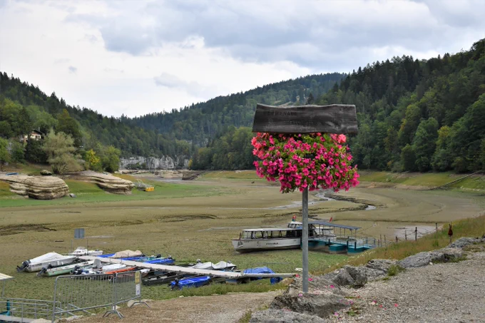 a sign with flowers on it