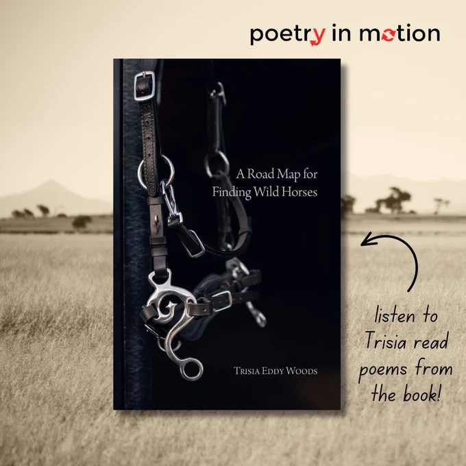 The cover of A Road Map for Finding Wild Horses, featuring a horse's bridle against a dark background. A labelled arrow reads "listen to Trisia read poems from the book!"