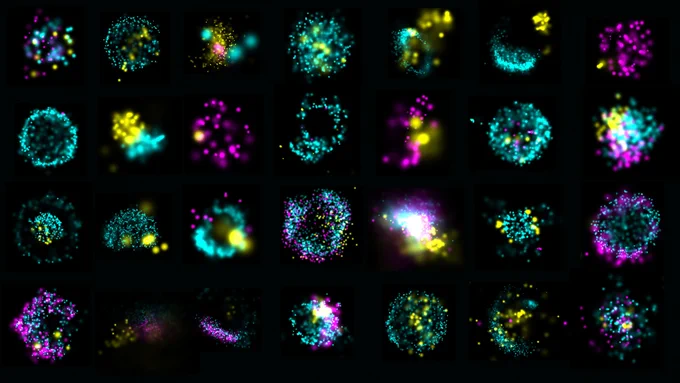 Ces galaxies en nous

Par Oscar Boyadjian @uMcGill