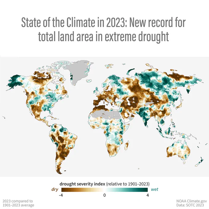 This map shows global drought status in 2023 based on a scale called the Palmer Self-calibrating Drought Index. Areas experiencing the most extreme drought are darkest brown; places that were extremely wet over the year are colored dark blue green. 