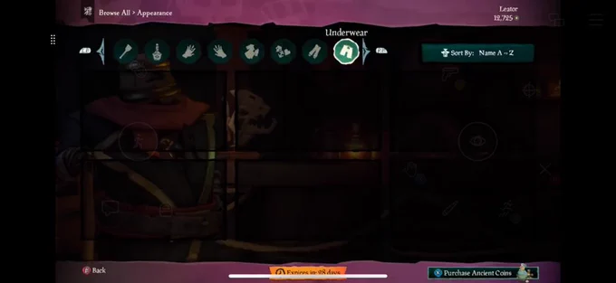 A screenshot taken in the Sea of Thieves Pirate Emporium, showing an empty underwear tab, suggesting purchasable undergarments will find their way into the game