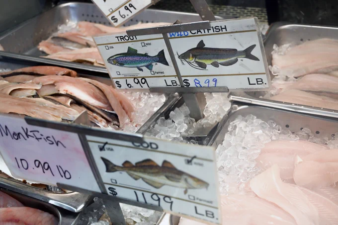 Blue catfish fillets in seafood market case.