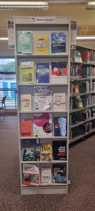 Shelves displaying new books.