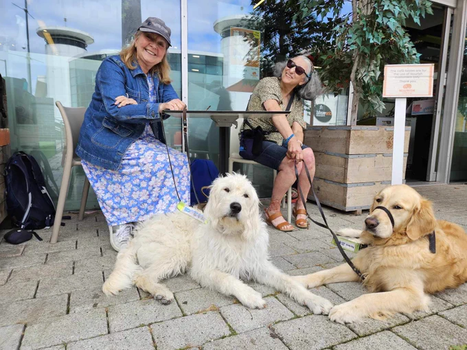 2 ladies sitting at a table. On left lady is wearing blue dress and jacket with white labradoodle puppy in training Gemma. On right lady is wearing brown blouse and jeans holding golden retriever guide dog Bailey
