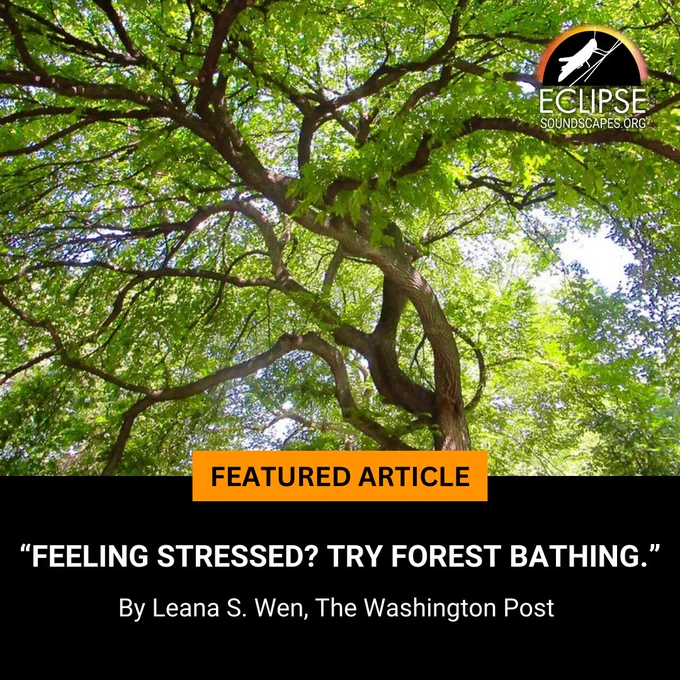 Light shining through the canopy of a tree. Text reads: Featured Article, "Feeling Stressed? Try Forest Bathing." By Leana S. Wen, The Washington Post.